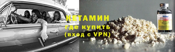 прущие грибы Аркадак