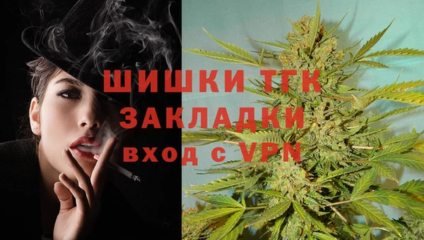 прущие грибы Аркадак