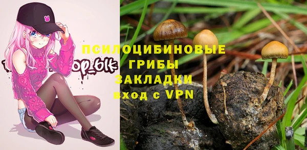 apvp Балахна