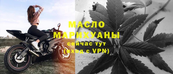 прущие грибы Аркадак