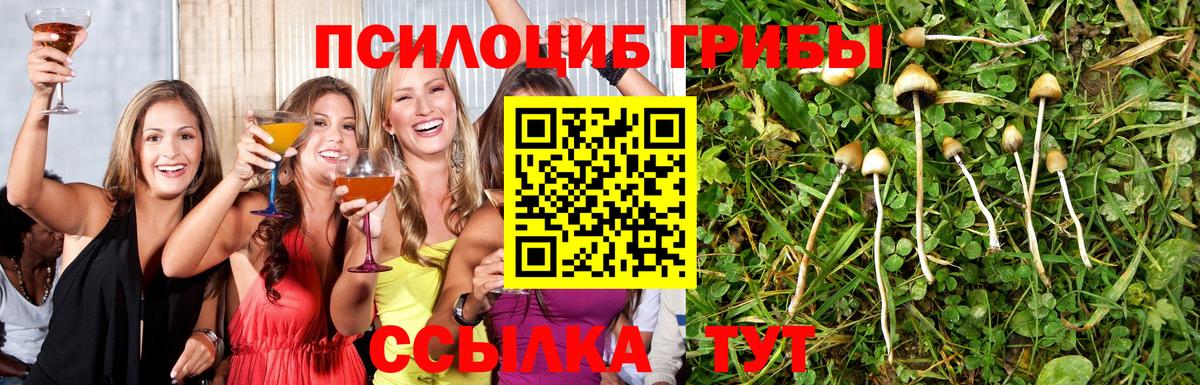 Калуга  Галлюциногенные грибы мицелий  Псилоцибиновые грибы Psilocybine cubensis  Вход с VPN 